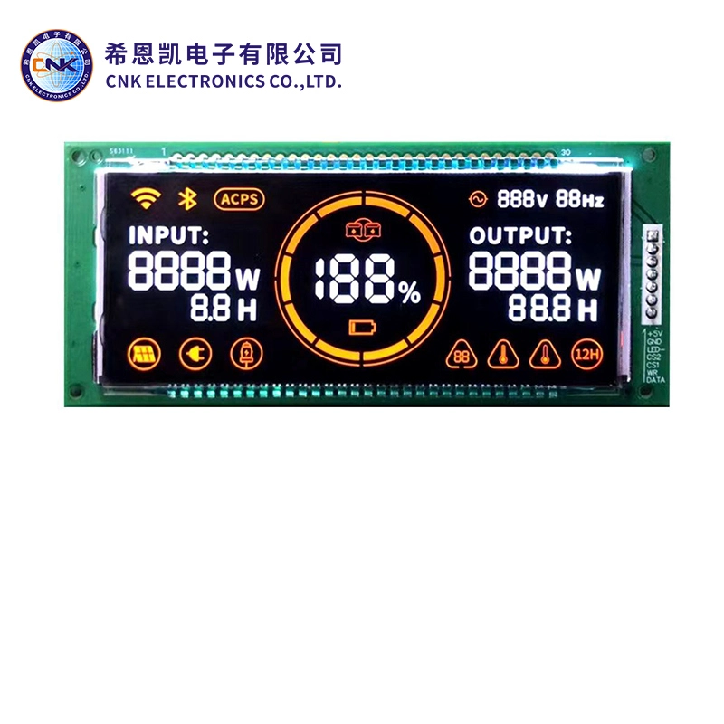 Monochrome Segment LCD Display