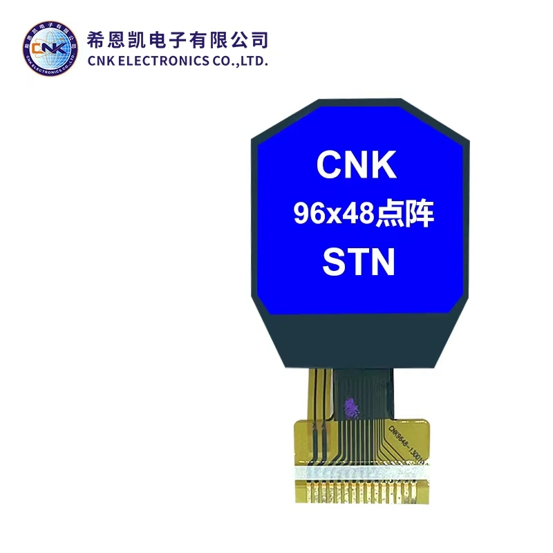 Graphic LCD Module