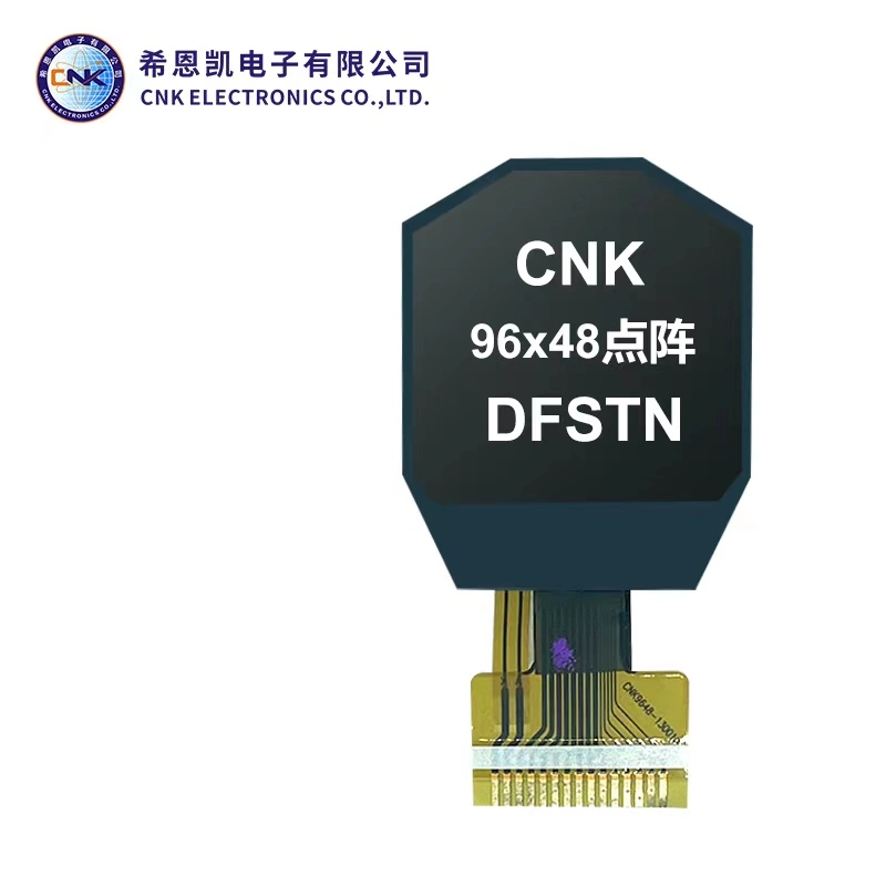 Graphic LCD Module