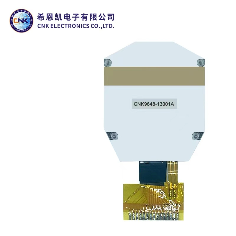 Graphic LCD Module
