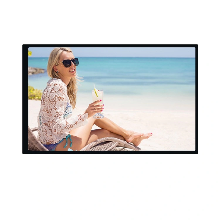 10 1 Inch Tft Lcd Module
